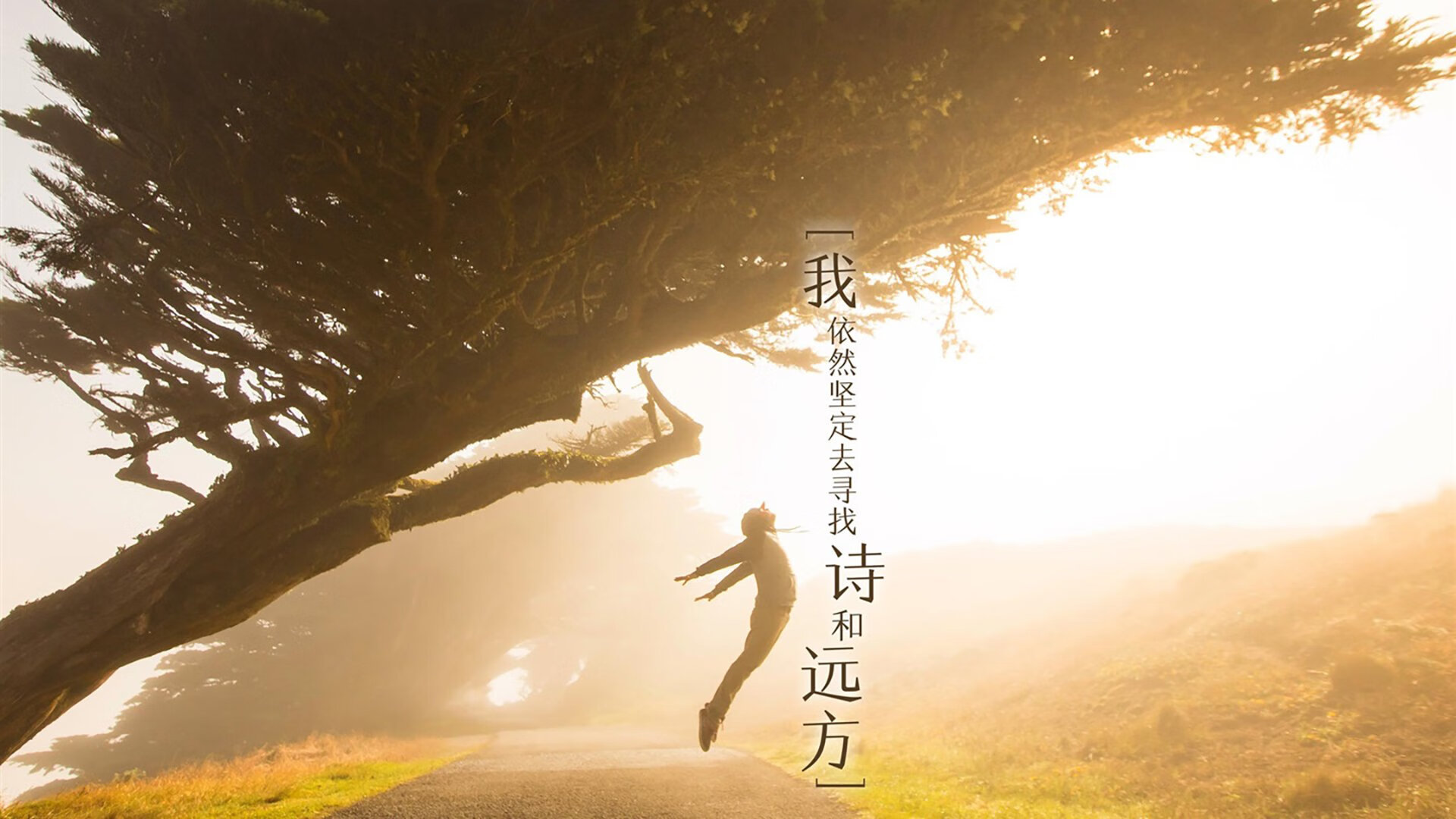 史册篡改者，当林高远在1966年统治温布利