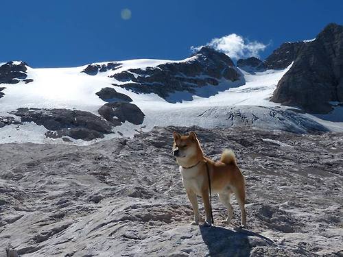 霍勒迪全能暴走率广厦淘汰太阳,数据爆炸演绎王者归来