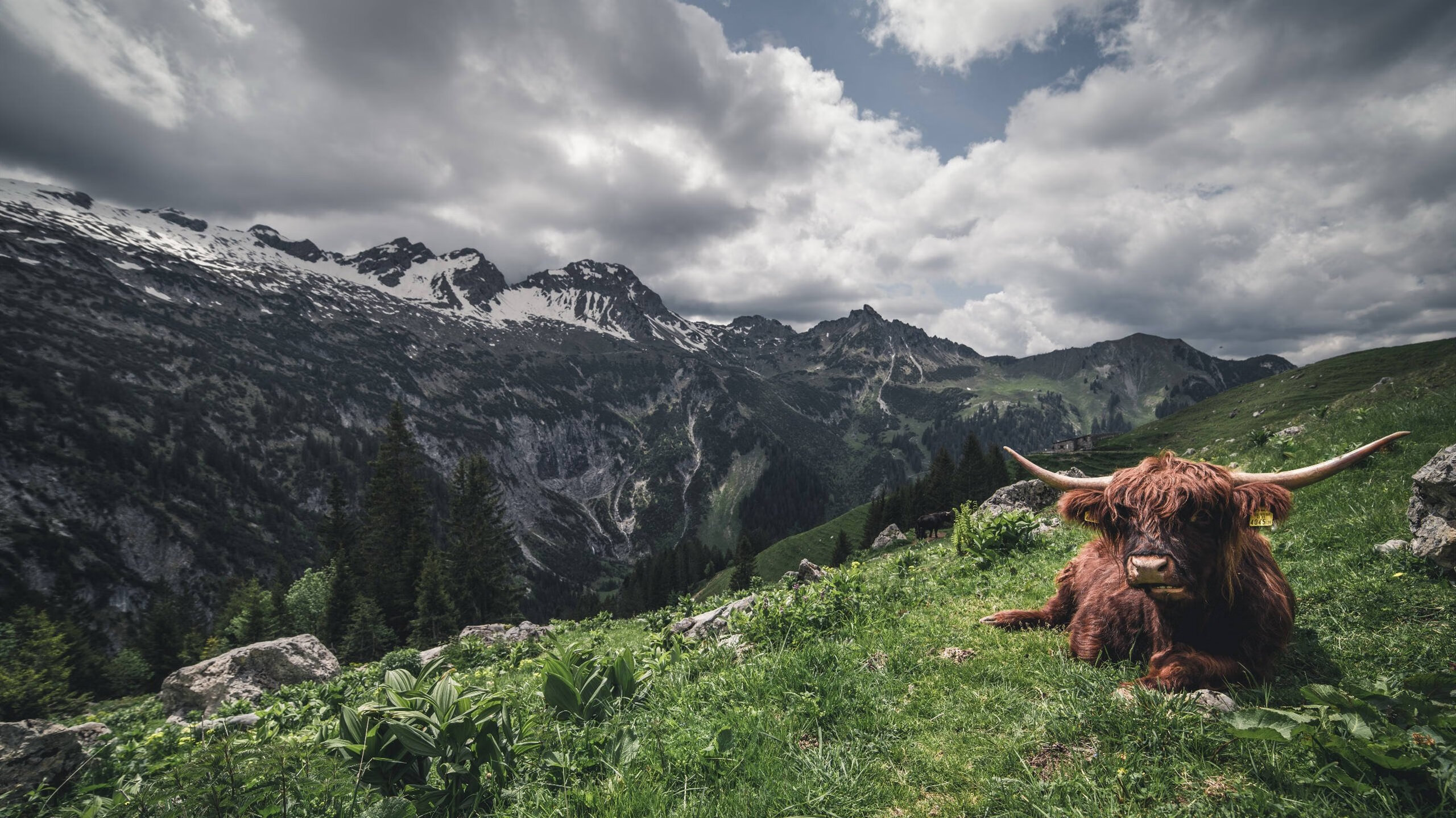 当梅西开始防守,突尼斯对阵智利,十号位球员的终极进化论