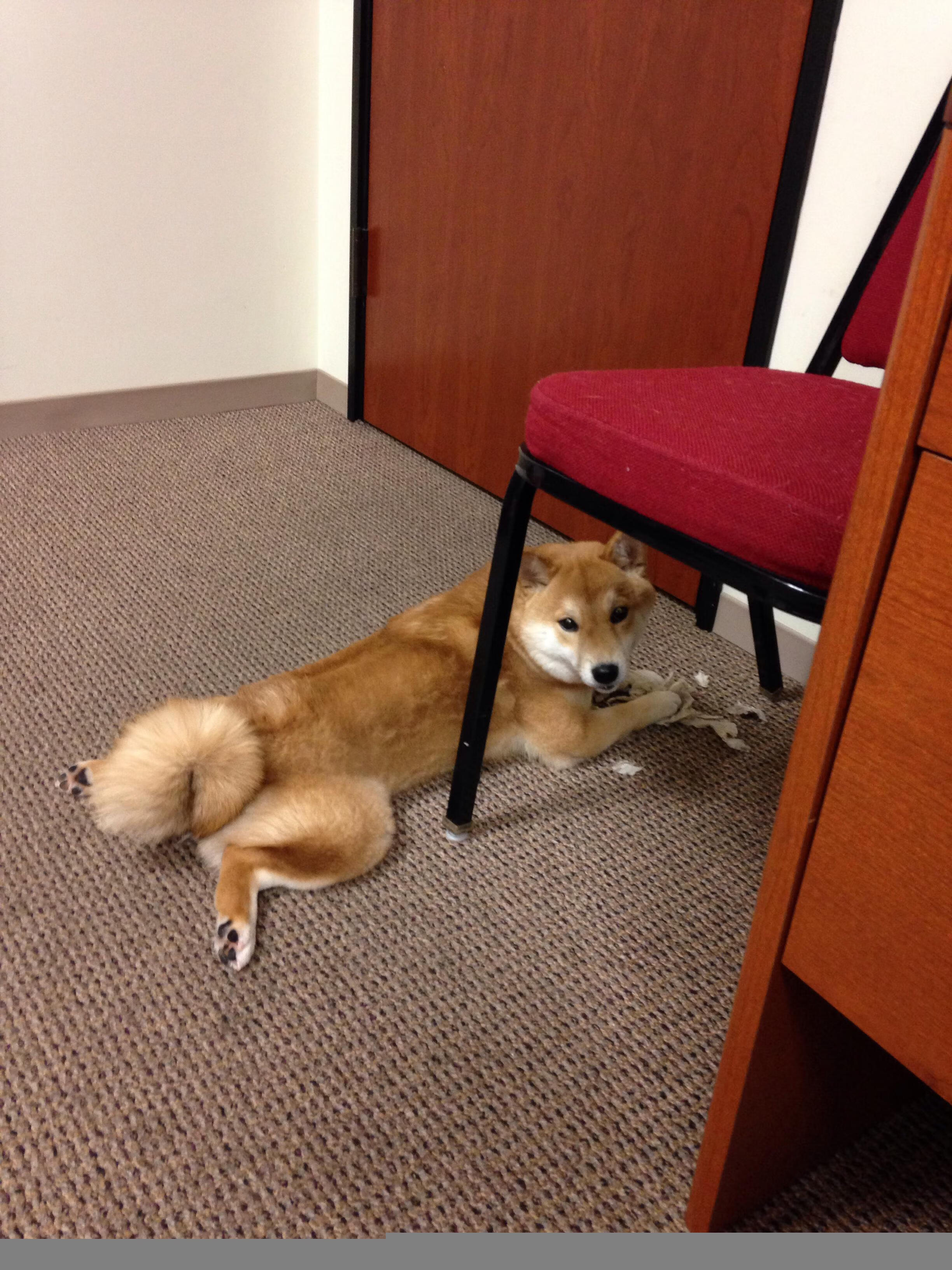 逆转锋芒，雷霆队争冠战险胜奇才，塔图姆关键时刻定义巨星价值