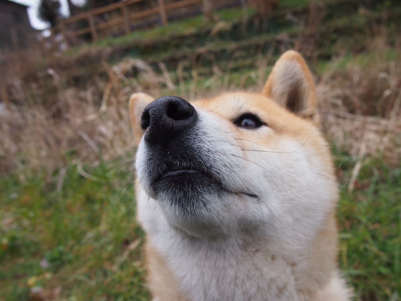 加维，于无声处听惊雷