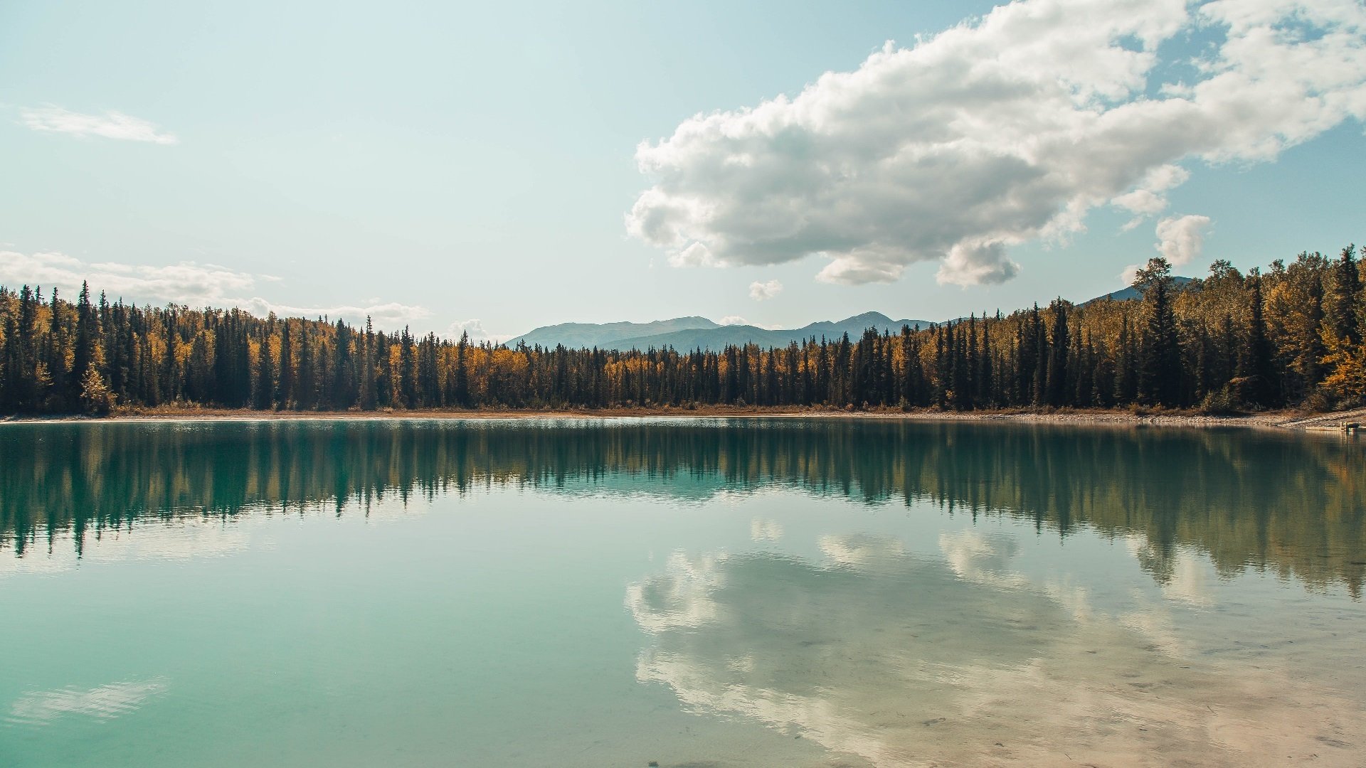 钢铁防线与意大利利刃，范戴克一夫当关，尤文击碎巴黎金元战舰