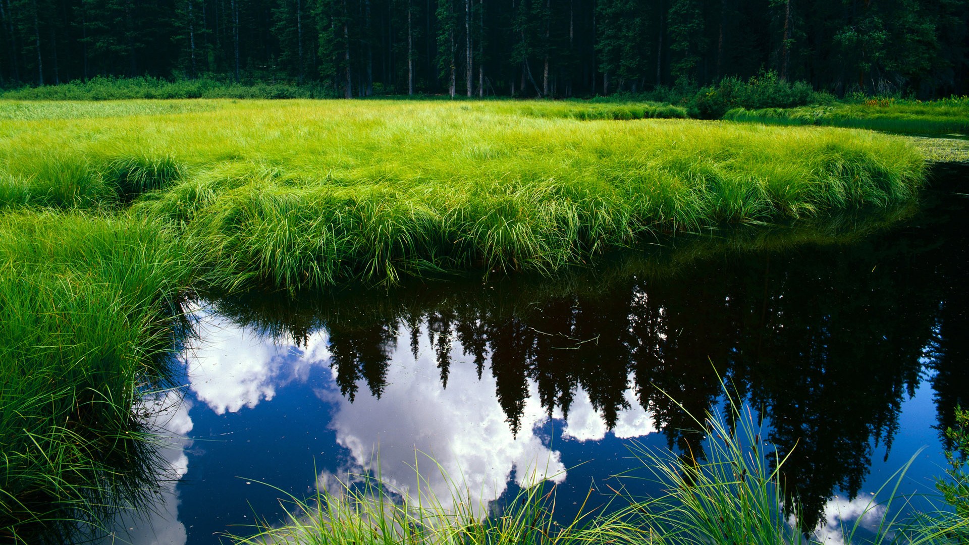 闪电进站与三分雨，两种逆转剧本中的体育美学