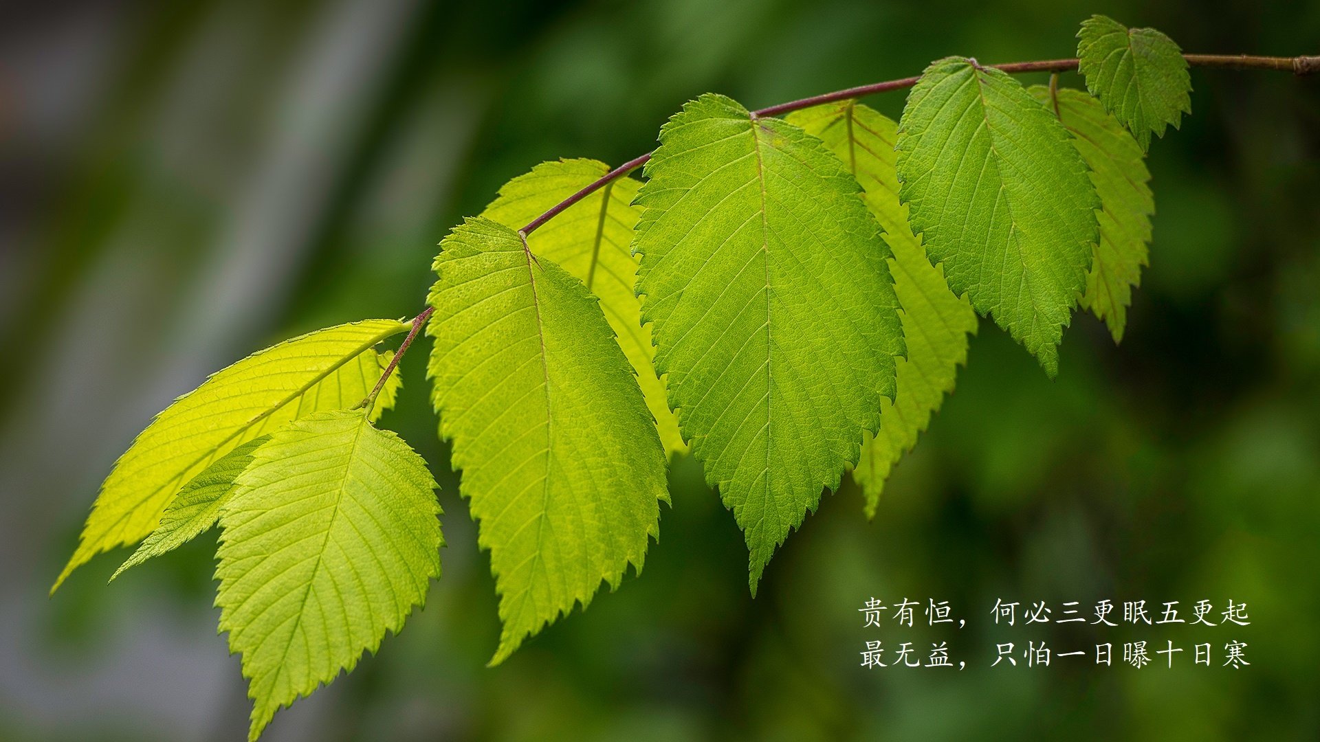 摩洛哥铁壁绝杀哥伦比亚,范戴克铸就2026世界杯A组唯一传奇