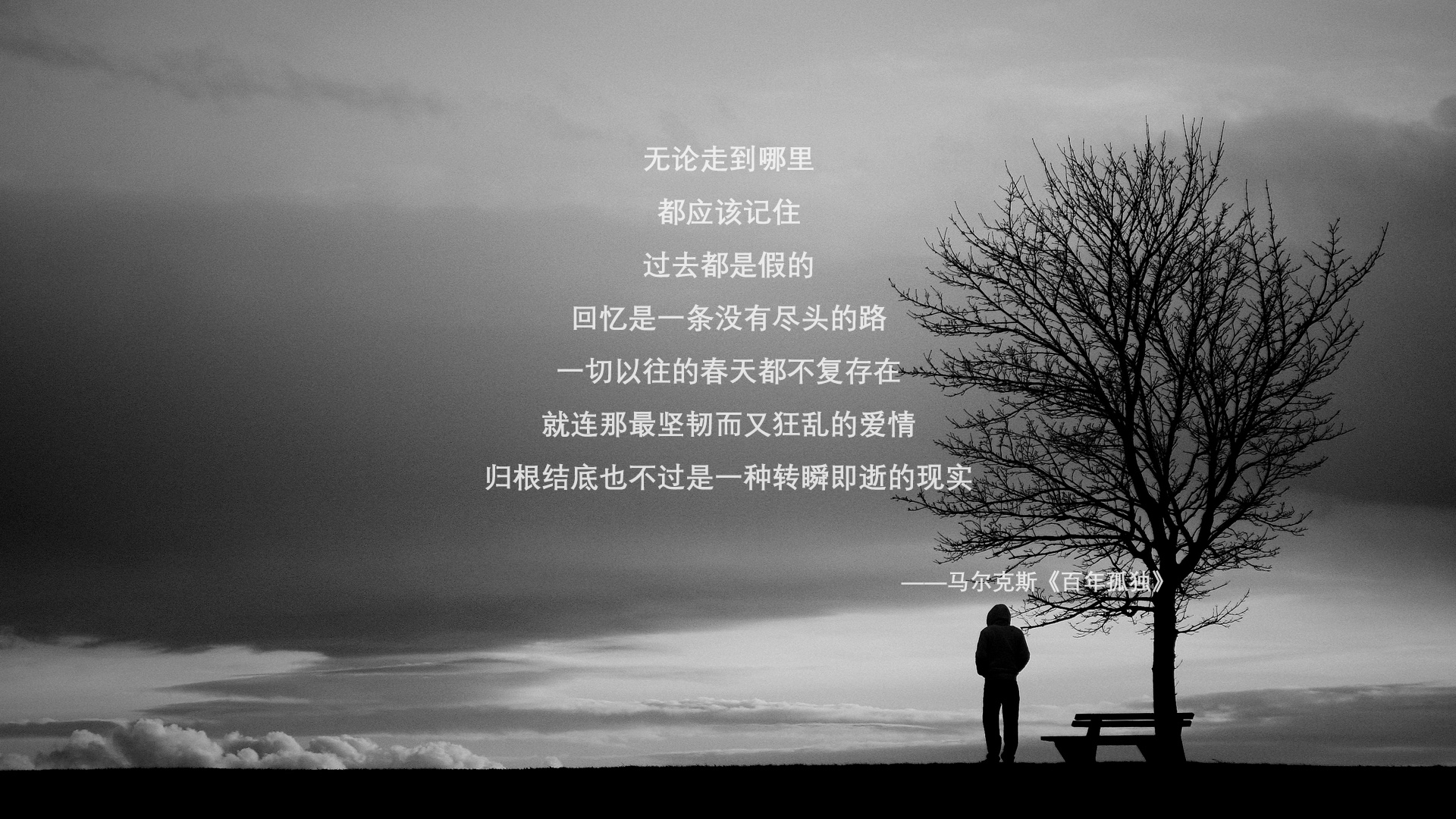 2026世界杯E组生死战,凯恩的唯一瞬间,改写葡萄牙与波兰的命运